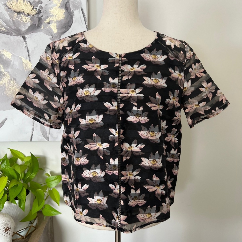 Sheer Floral Mesh Top Womens Sz Large Black Pink Fairy Y2K Balletcore Coquette‎